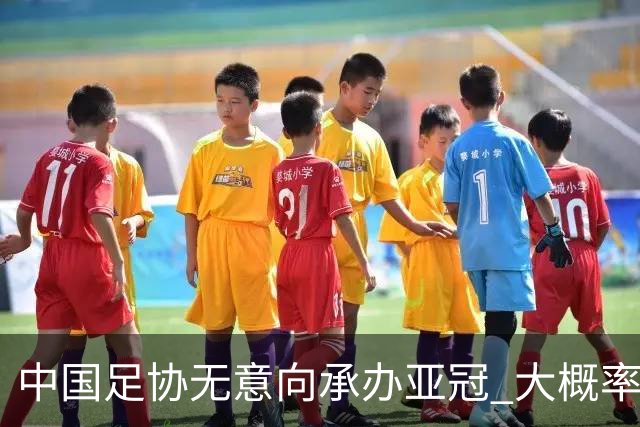 中国足协无意向承办亚冠 大概率继续在卡塔尔踢